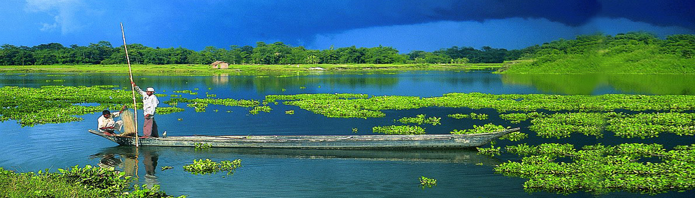 Tour Operator in Guwahati